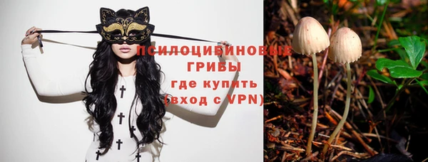спиды Новодвинск