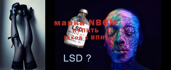 спиды Новодвинск