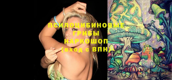 спиды Новодвинск