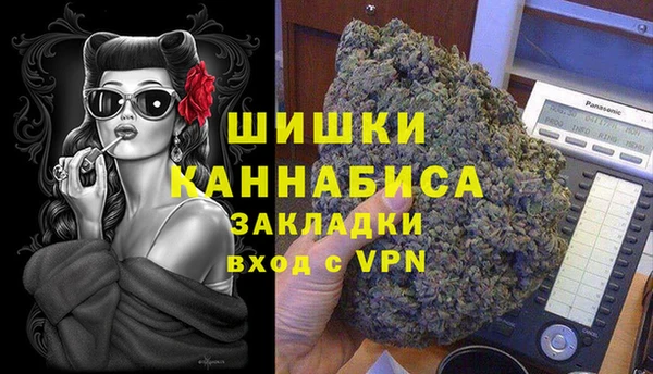 спиды Новодвинск