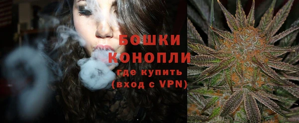 спиды Новодвинск