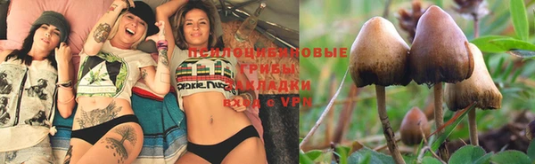 меф VHQ Новозыбков
